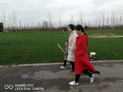 -荷兰花海