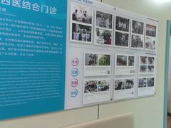 -北京观赏动物医院·24小时大型综合·猫专科·异宠专科