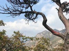 -大连天门山国家森林公园