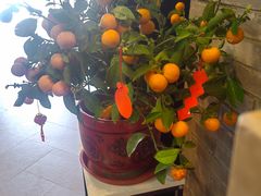 -徽珍源(龙茗路店)