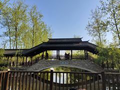 -合肥滨湖国家森林公园