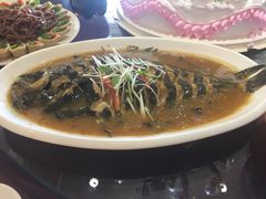-清雅轩·清真菜·传统菜•融合菜(滑翔店)