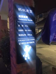 -蚂蚁造型沙龙