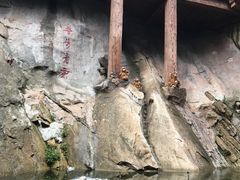 -罗田天堂寨风景区