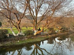 -八卦田遗址公园