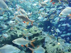 -成都浩海立方海洋公园