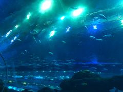 -成都浩海立方海洋公园