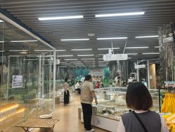 -小象动悟公园(龙湖亦庄天街店)
