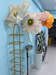 -斐尔国际皮肤管理中心