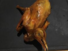 -大鸽饭(体育西路店)