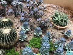 -正佳雨林生态植物园