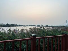 -芒洲湿地公园