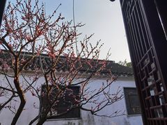 -沧浪亭