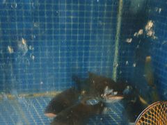 -三品香·江浙菜(松江九谊店)