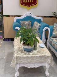 -苗医生专业祛痘·皮肤管理
