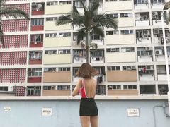 -彩虹村