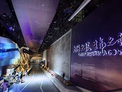 -武汉园博园(武汉自然博物馆)