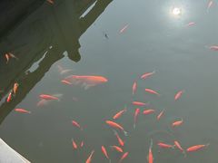 -大悲禅寺