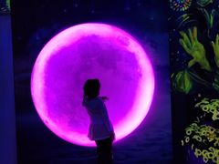 -天津梵高星空艺术馆(天河城旗舰店)