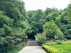 -上海佘山国家森林公园天马山园