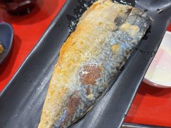 盐烤青花鱼-食其家·牛丼咖喱(天津梅江印象城店)