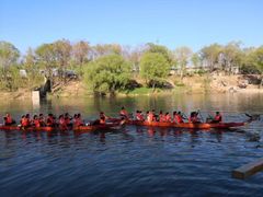 -东方巨龟苑景区