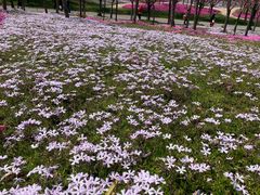 -南通洲际绿博园