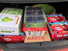 -东方鼎信农副产品交易中心