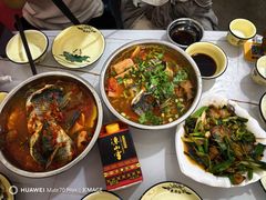 -风鑫铃罗非鱼(道沟店)