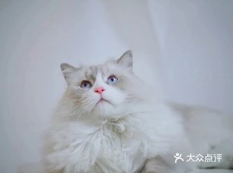 2020锦鲤来了！～  最近几个月虽然还是步履不停依