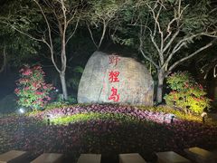 -野狸岛