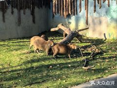 -泉州海丝野生动物世界