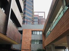 -香港大学