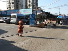 -长宁东道花卉宠物市场