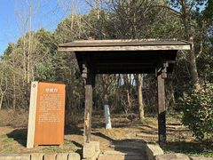 -梁鸿国家湿地公园