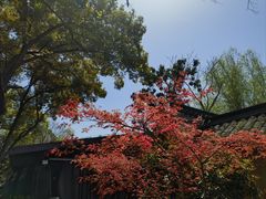 -绍兴鲁迅故里·沈园景区