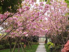 -梅林春晓花园餐厅