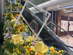 -凯德MALL(望京店)