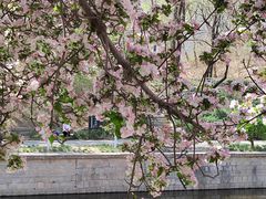 -元大都城垣遗址公园