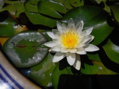 -终南山南五台景区