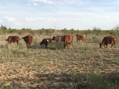 -亿利库布其七星湖沙漠生态旅游区