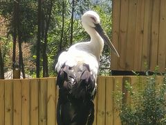 -云南野生动物园