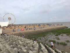 -奉贤海滩