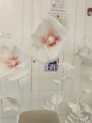 点击看大图 -美莱医疗美容医院