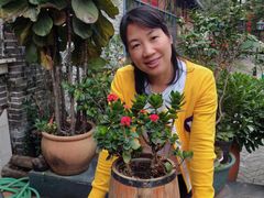 -百丈园龙江啫神馆