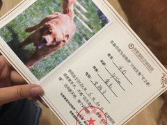 -奈斯宠物医院·核磁CT·异宠专科·内镜(中南店)