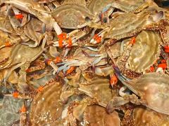 -一方渔歌蒸汽海鲜自助(文化路万达广场店)