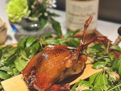 -蝶舍·MAISON PAPILLON