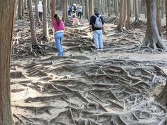 -含鄱口