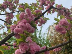 -西北湖绿化广场